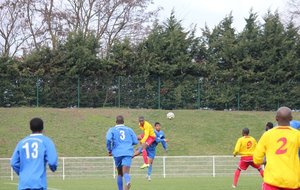 IMG_2613.jpg