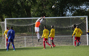 525ade8d8bf47_IMG0678.jpg
