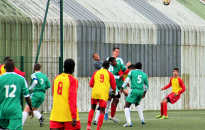 53394008d71ca_img1813.jpg