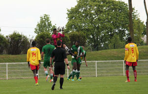 534d5cd972082_img1966.jpg