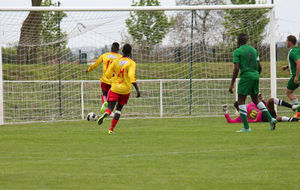 534d5cda18710_img1977.jpg