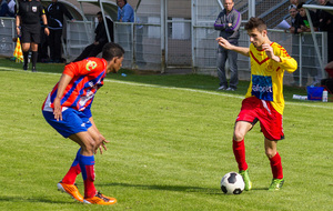 53667db9de434_IMG2124.jpg