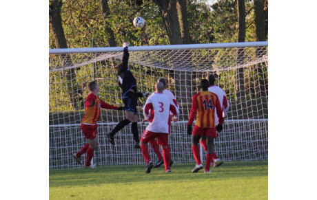Victoire des Seniors B