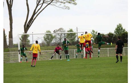 FCMC/LINAS